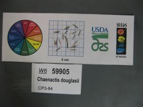 Click for 1 image(s) for this accession. SEED